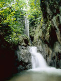 A Forest Waterfall Photographie par Roy Toft