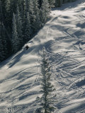 Skier on the Powder Slopes of Aspen Photographie par Dick Durrance