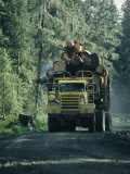 Truck Filled with Cut Lumber Travels down a Dirt Road Lámina fotográfica por Stephen Sharnoff
