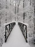 Vue d'un pont couvert de neige dans les bois Photographie par Richard Nowitz