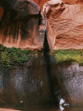 The Take-Out at Kane Creek Photographie par Walter Meayers Edwards