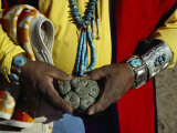 Close View of Peyote Cacti (Lophophorus Williamsii) Being Held by a Native American Medicine Man Photographie par Ira Block