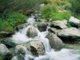 A creek flows over granite rocks in the Sierra Nevada mountains Lámina fotográfica por Marc Moritsch