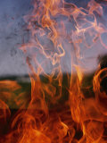 Close View of Fire Photographic Print by Brian Gordon Green