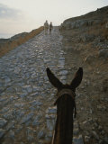 A couple and a donkey walk up the cobblestone road to the Acropolis Lámina fotográfica por Tino Soriano A couple and a donkey walk up the cobblestone road to the Acropolis Lámina fotográfica por Tino Soriano
