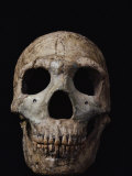 This Neandertal Skull from Wadi Amud is About 60,000 Years Old Photographic Print by Ira Block