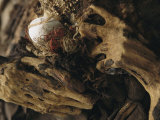 The Hands of a Mummy Exhumed at Puruchuco-Huaquerones Photographic Print by Ira Block
