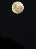 La pleine lune brille sur la cime des arbres sombres Photographie par George Grall