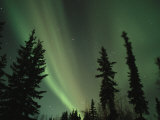 Las luces del norte iluminan el cielo del polo norte Lámina fotográfica por Maria Stenzel Las luces del norte iluminan el cielo del polo norte Lámina fotográfica por Maria Stenzel