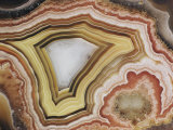 Close-up of a Patterned Rock Photographic Print by David Boyer