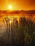 Sunrise over a Misty Pond and the Presidential Mountains Photographic Print by Richard Nowitz