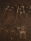 Indian Petroglyph Depicting a Mountain Sheep Photographic Print by Paul Chesley