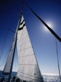 A Tourist Catamaran on Shark Bay in the Afternoon Photographic Print by Jason Edwards