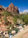 One of the Patriarchs Looks Over the Zion River Tumbling Over Rocks Lámina fotográfica por Taylor S. Kennedy