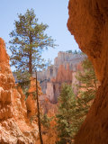 A View of the Hoodoos and Erosion in Bryce Canyon Photographie par Taylor S. Kennedy