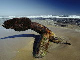 A 19th Century Shipwreck Anchor Stranded on a Beach Photographic Print by Jason Edwards