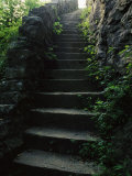 Stone Stairs Lead to the Top of Morgans Steep in Sewanee Photographic Print by Stephen Alvarez