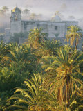View over Palm Trees of the Mist-Shrouded San Ignacio Mission Photographic Print by Bill Hatcher