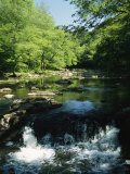 Waterfalls on the Eno River Passing Through a Hardwood Forest Photographie par Raymond Gehman