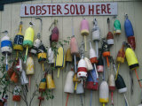 Colorful Lobster Buoys Hang on a New England Shed Photographic Print by Stephen St. John