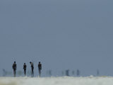 Bushmen Armed with Bows and Arrows Cross a Salt Pan Fotografisk tryk af Chris Johns Bushmen Armed with Bows and Arrows Cross a Salt Pan Fotografisk tryk af Chris Johns