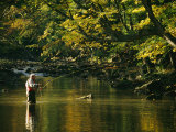 Fly Fisherman Casts his Line into the Elk River Photographic Print by Skip Brown