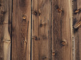 Wood-Paneled Wall Photographic Print by David Boyer