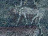 A San Mural Painting of a Man Transforming into an Animal Fotografisk tryk af Kenneth Garrett