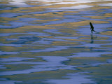 Woman Skating on the Ice at Mcphee Reservoir Photographic Print by Kate Thompson