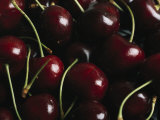 Fresh Sweet Cherries with Stems Photographic Print by Taylor S. Kennedy