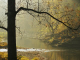 Creek Runs Through Blue Hole Campground Photographic Print by Raymond Gehman