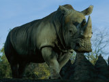 A Southern White Rhino at the San Diego Wild Animal Park Photographie par Michael Nichols