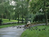 A Woman Feeds Pigeons in the City Park in Vienna Photographic Print by Taylor S. Kennedy
