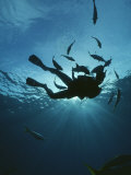 Fish Swim Around a Diver Photographic Print by Raul Touzon