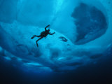 Buceador sujeto para evitar las corrientes investiga un bloque de hielo Lámina fotográfica por Paul Nicklen