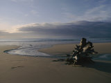Driftwood and Tidal Pools Fotografisk trykk av Sam Abell Driftwood and Tidal Pools Fotografisk trykk av Sam Abell