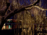 Christmas at Tivoli Where Holiday Lights Brighten the Long Winter Night Photographic Print by Keenpress 