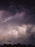 Lightning Flashes over a Stand of Trees Photographie par Stephen Alvarez