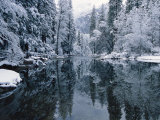 Snow-Covered Trees Reflected on the Surface of the Merced River Photographie par Marc Moritsch