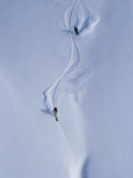 Skiers Carve Through Deep Powder in the Selkirk Mountains Fotografisk tryk af Paul Chesley Skiers Carve Through Deep Powder in the Selkirk Mountains Fotografisk tryk af Paul Chesley