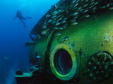School of Fish and a Diver Swim Around the Research Vessel Aquarius Photographie par Brian J. Skerry