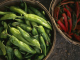 Green Chile Roasting Stands Along Federal Boulevard, Denver, Colorado Photographic Print by Michael S. Lewis
