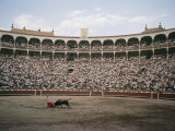 A Bullfight in Madrid Photographie par Walter Meayers Edwards