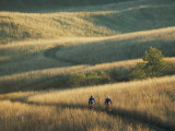 Bicyclists Pedal a Trail Through the Rolling Hills Photographic Print by Skip Brown