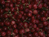 Cherries Photographic Print by Nicole Duplaix