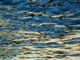 Sunlight Reflecting on the Rippling Water Lámina fotográfica por Todd Gipstein