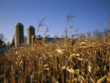 A View of Corn Fields with Silos in the Distance Photographic Print