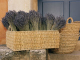 Basket Full of Herbs Photographic Print by Nicole Duplaix