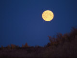 A Full Moon Rises Above the Mackenzie River Delta Photographic Print by Raymond Gehman