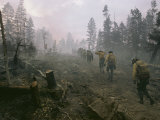 Firefighters Photographic Print by Walter Meayers Edwards